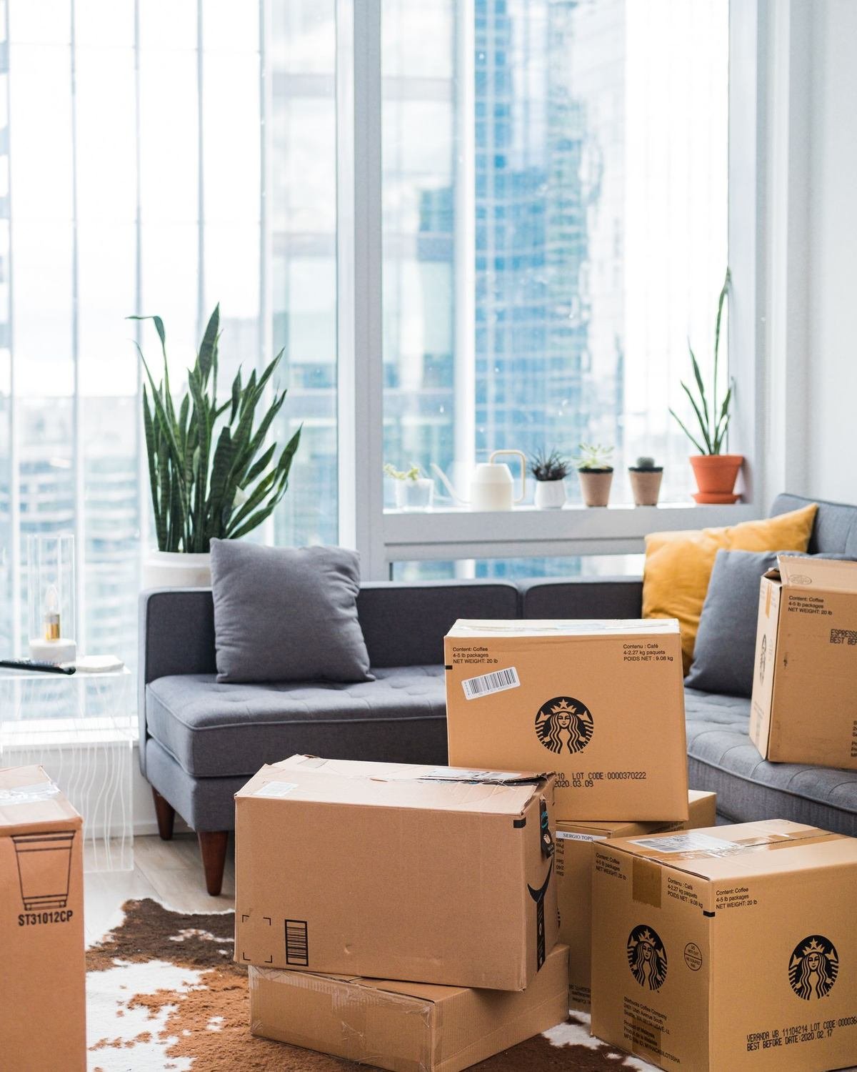 half-unpacked cardboard boxes in a bright small apartment living room