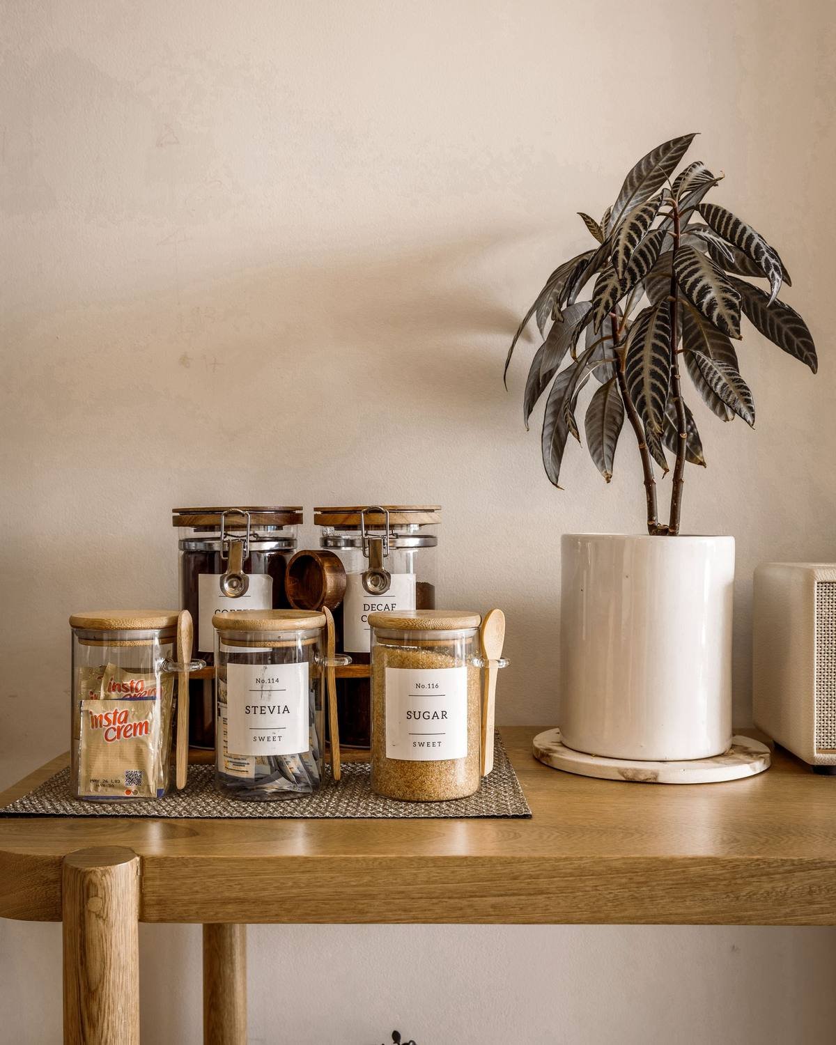 kitchen shelf with glass storage jars and a small potted plant