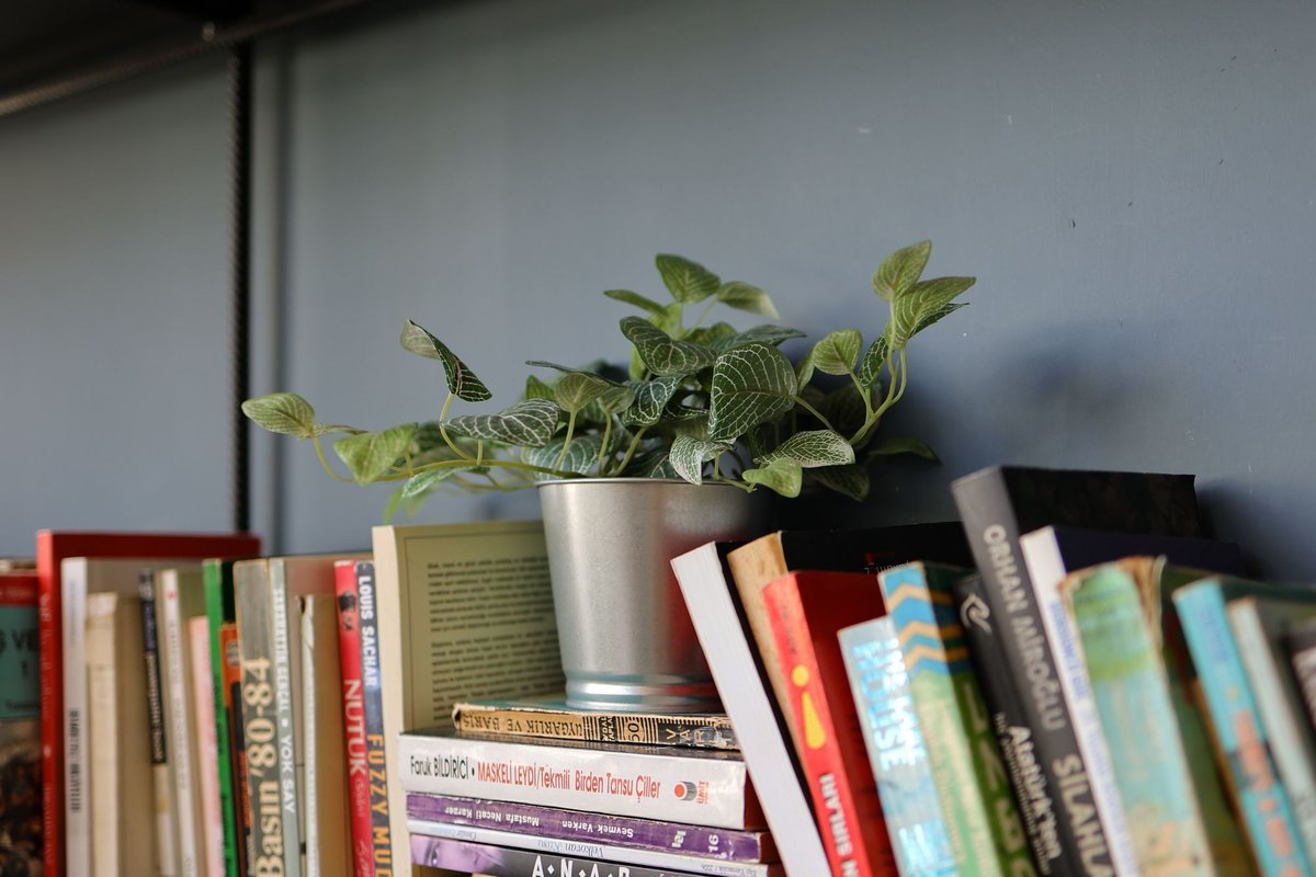 Tall bookshelf with books and a potted plant