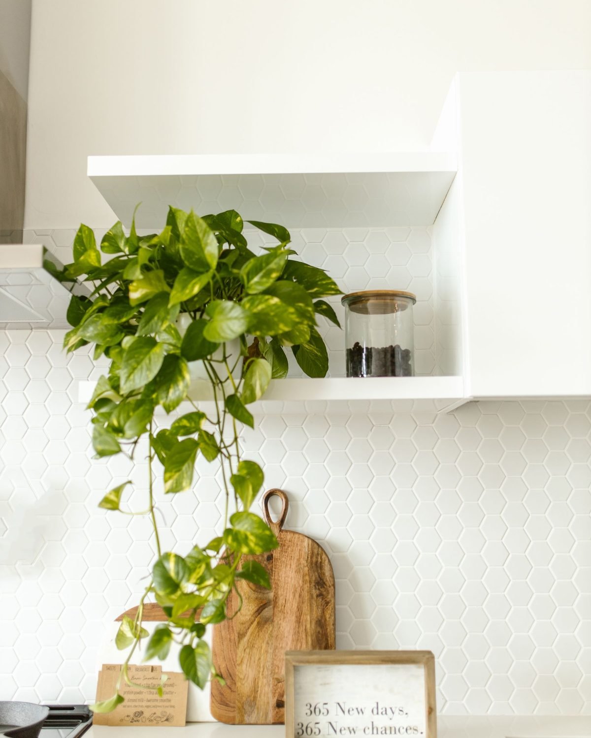 tidy white kitchen shelves with a trailing pothos plant and a few decor pieces
